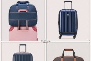 Delsey Luggage Reviews