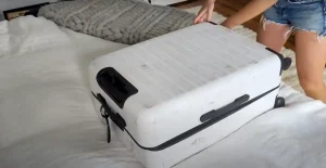 Paravel Luggage Reviews