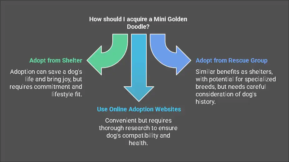 Adoption Options