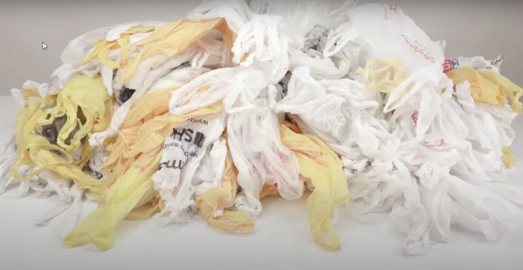 Emergence of Plastic and Disposable Bags