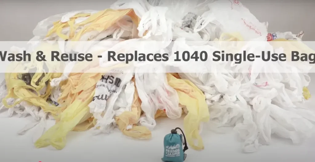 Emergence of Plastic and Disposable Bags