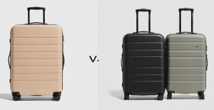 Monos vs Away Luggage Review