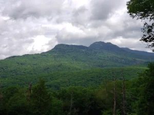 Laws to know before moving to north Carolina
