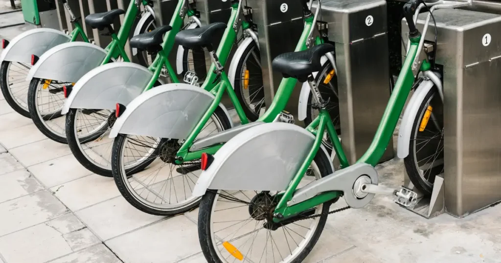 Bike Rentals