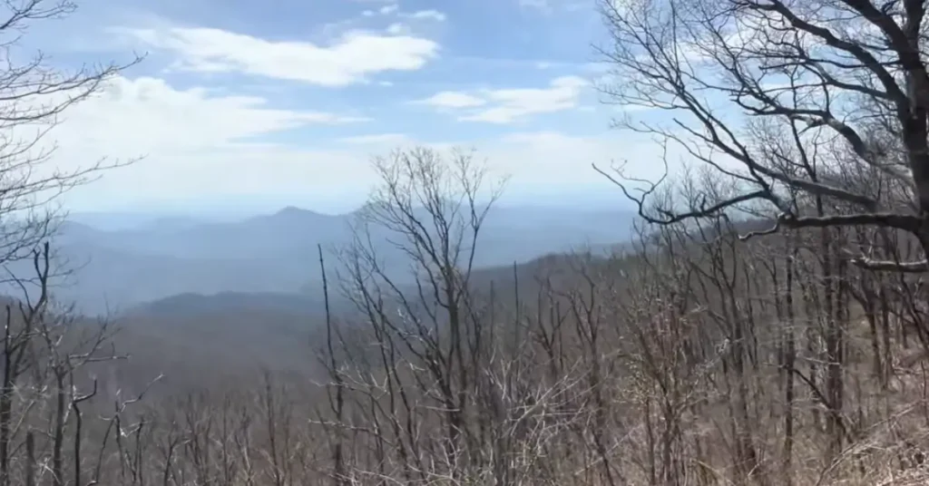 Cherokee National Forest