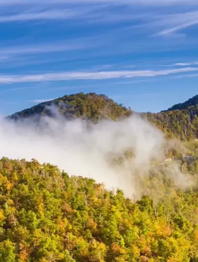 9 Best Places To Visit In Tennessee For Nature Lovers