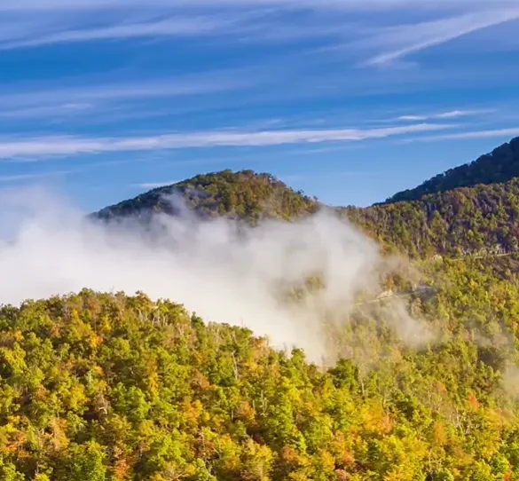 9 Best Places To Visit In Tennessee For Nature Lovers