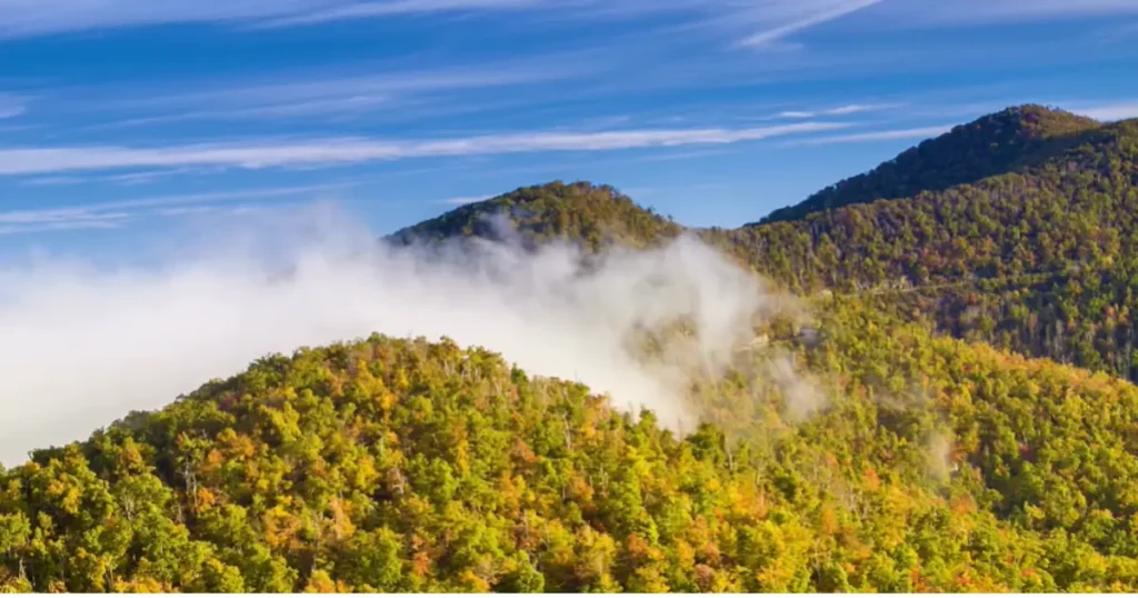 Knoxville to Smoky Mountains National Park