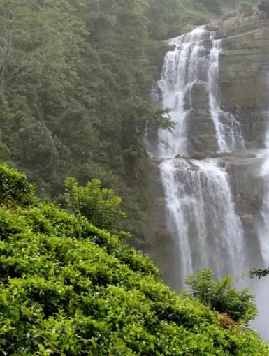 Northrup Falls in Tennessee