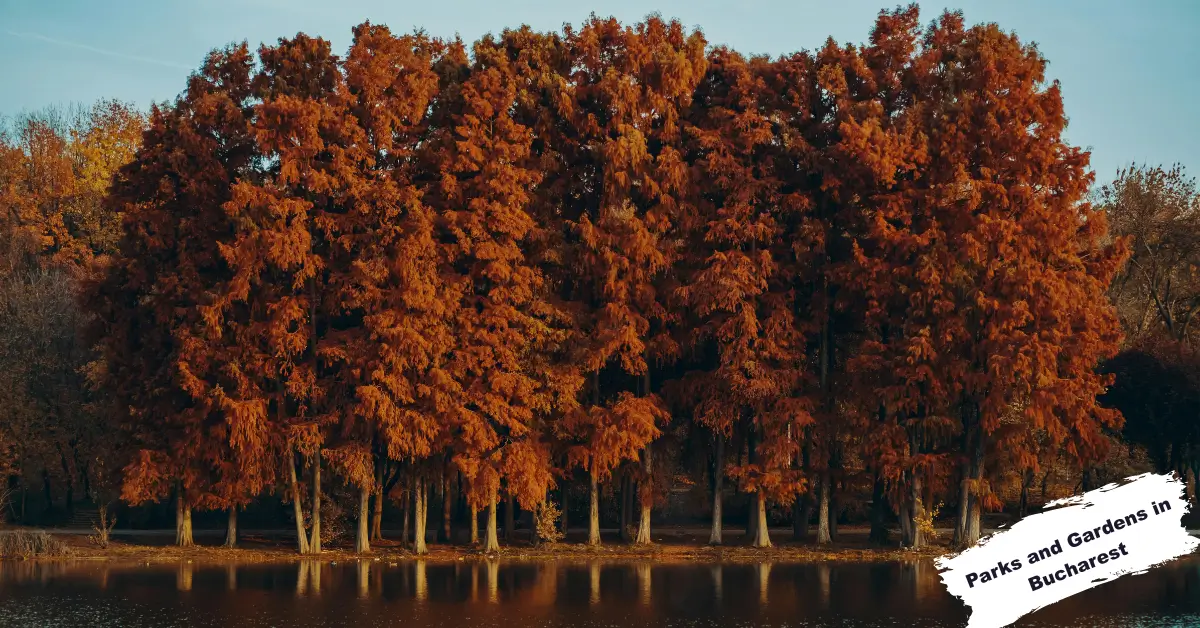 Parks and Gardens in Bucharest