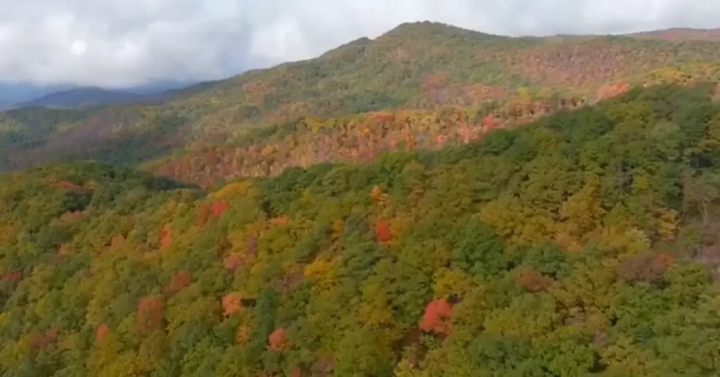 Tellico Plains: Gateway to the Cherohala Skyway