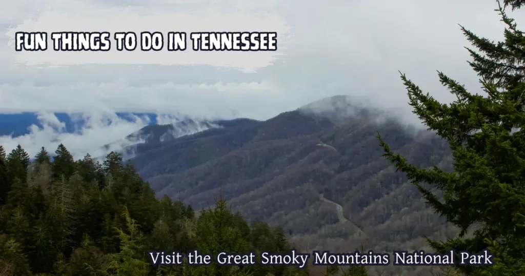 Visit the Great Smoky Mountains National Park