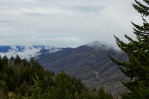 13+ Most Fun Things To Do In Tennessee