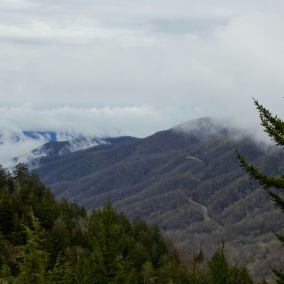 13+ Most Fun Things To Do In Tennessee
