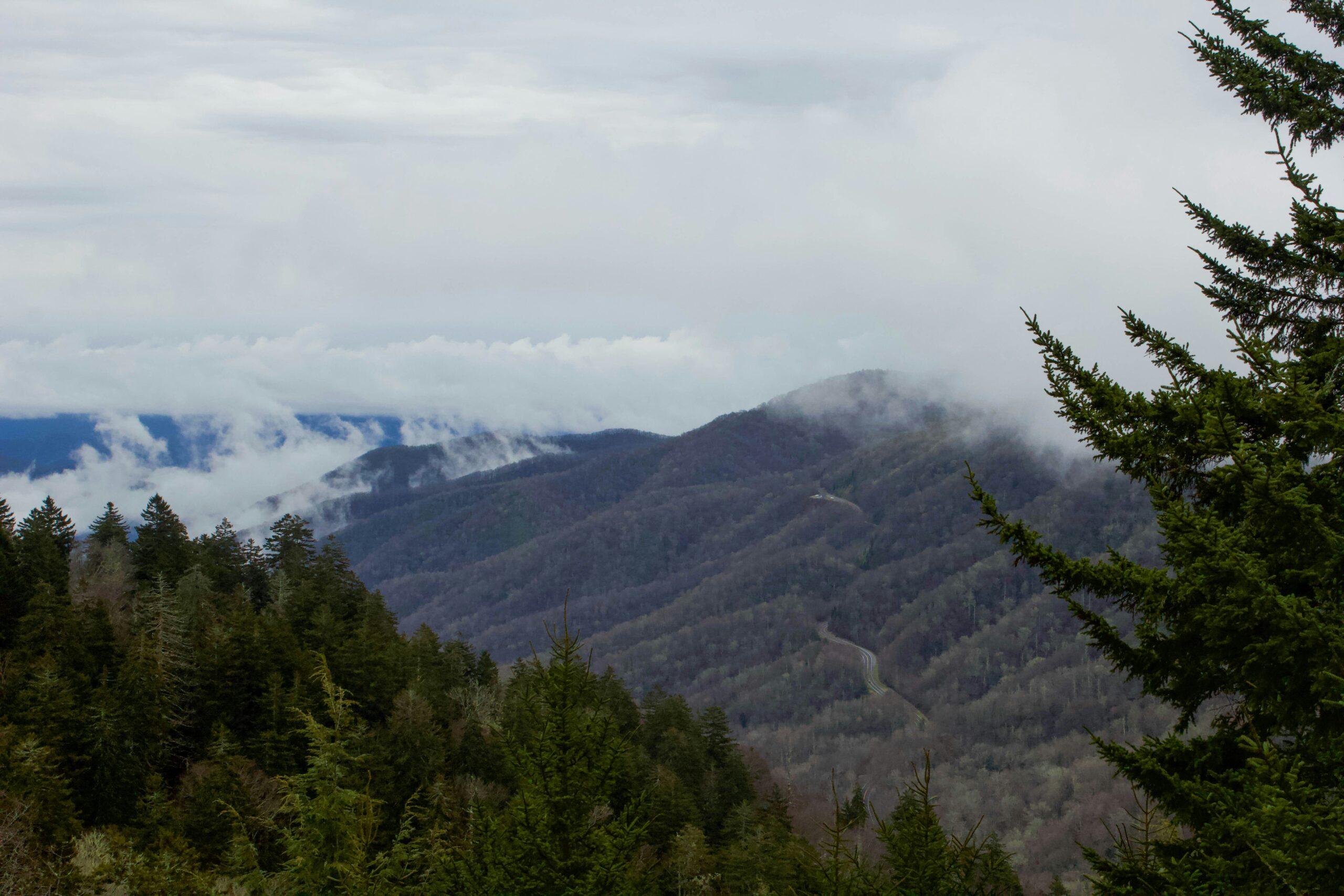 13+ Most Fun Things To Do In Tennessee