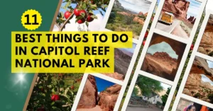 Best Things to Do in Capitol Reef National Park