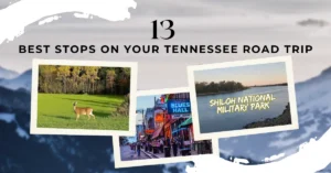 13 Best Stops on your Tennessee Road Trip