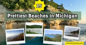 15 Prettiest Beaches in Michigan