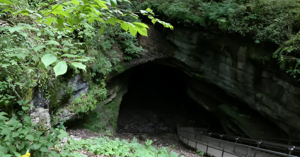 Bell Witch Cave in Adams, TN