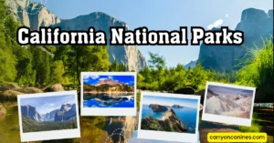 California National Parks