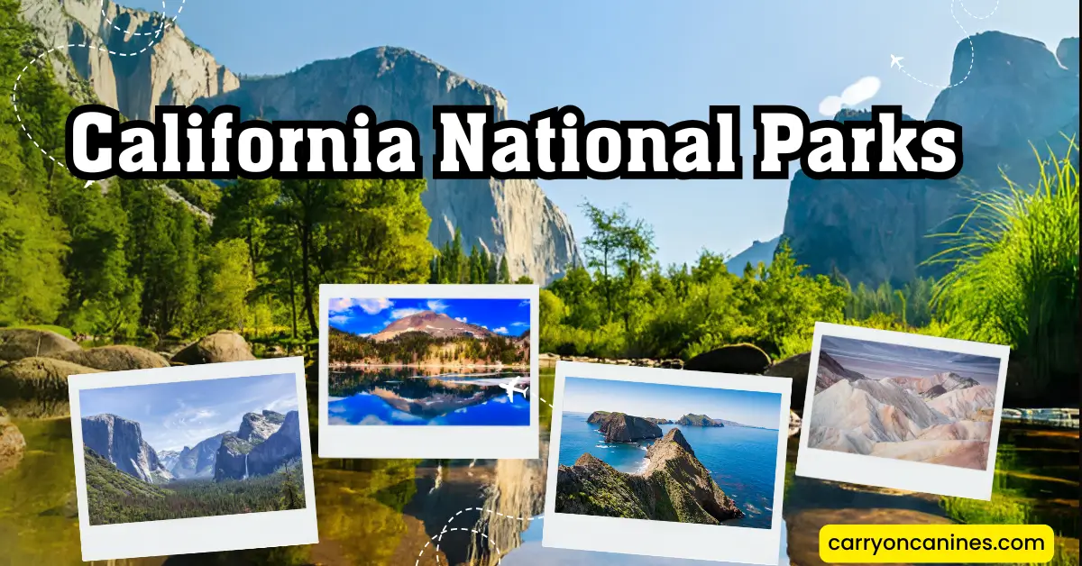 California National Parks