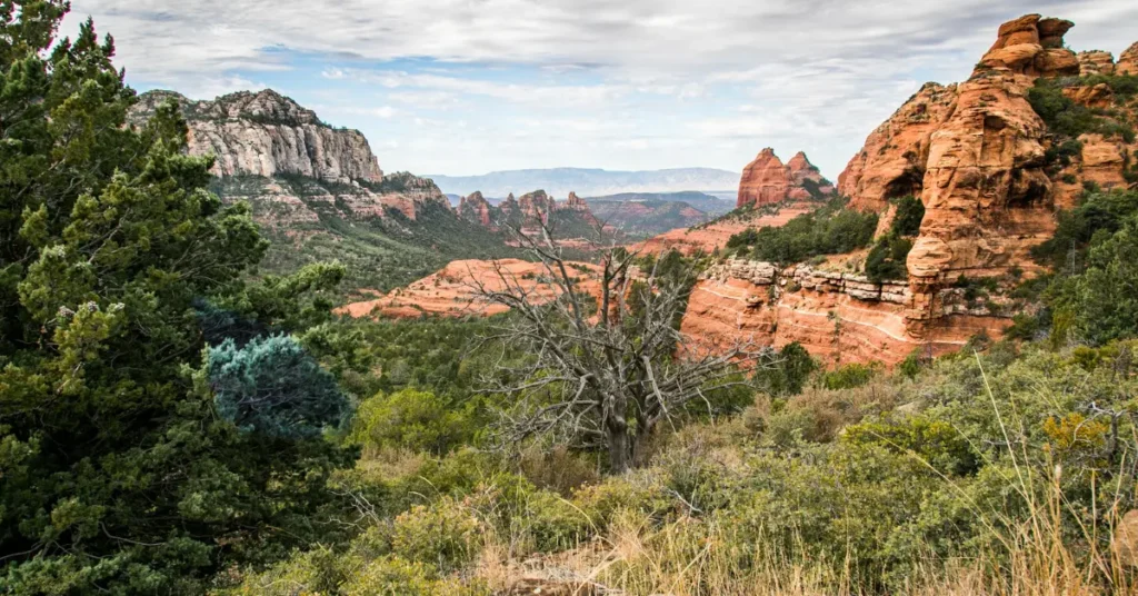 Sunset Point and Goosenecks Overlook