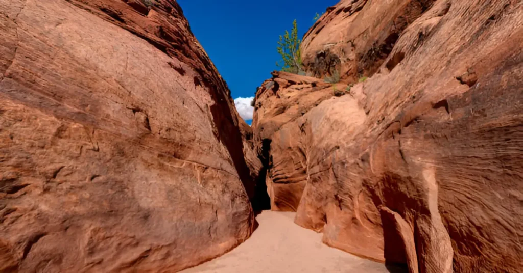 Grand Wash Trail