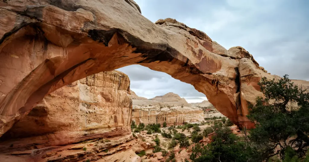 Hickman Bridge Trail
