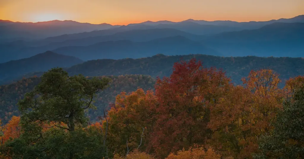 Hike in Great Smoky Mountains National Park