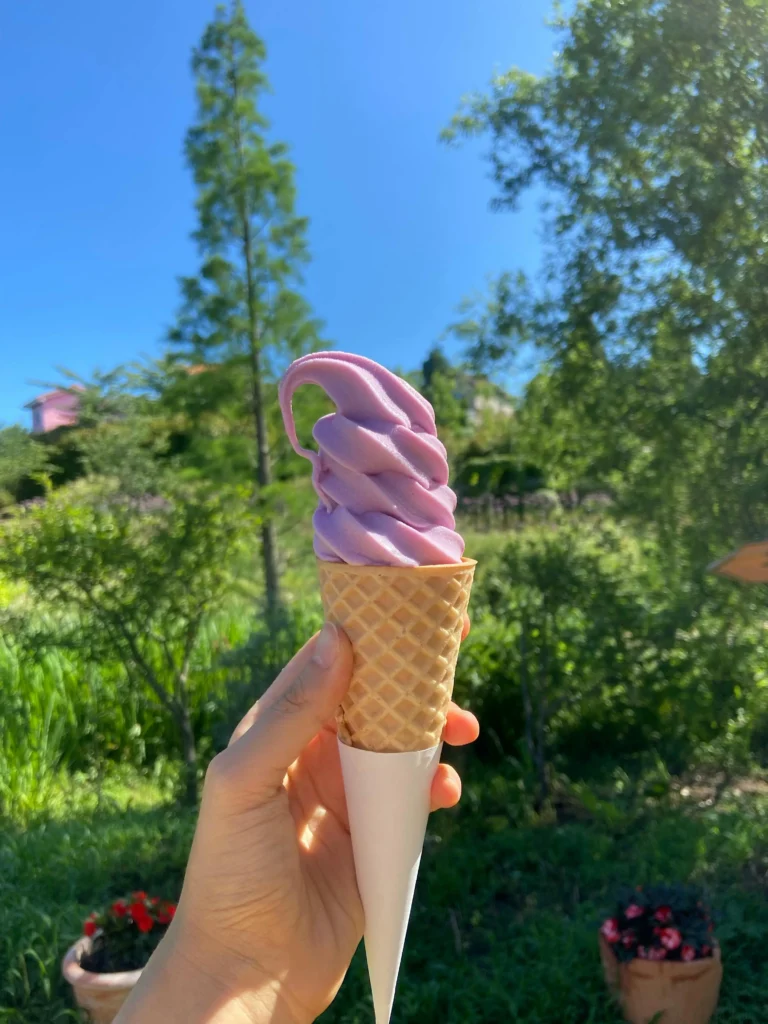 Jeni’s Splendid Ice Cream Wildberry Lavender Scoop