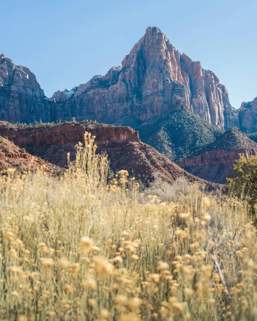 Best Things To Do In Zion National Park