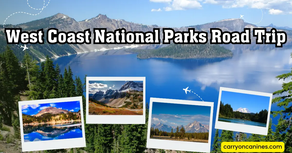 West Coast National Parks Road Trip