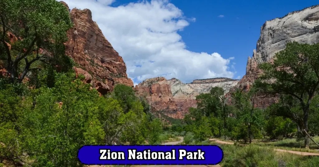  Zion National Park