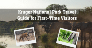 Kruger National Park Travel Guide for First-Time Visitors