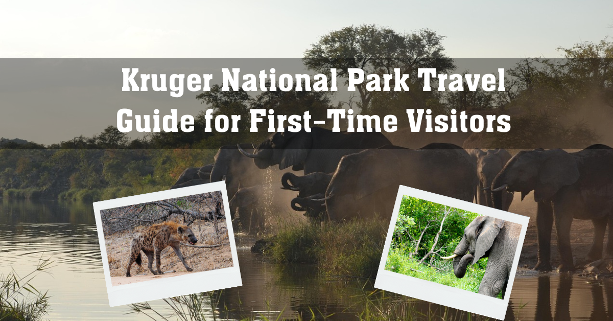 Kruger National Park Travel Guide for First-Time Visitors