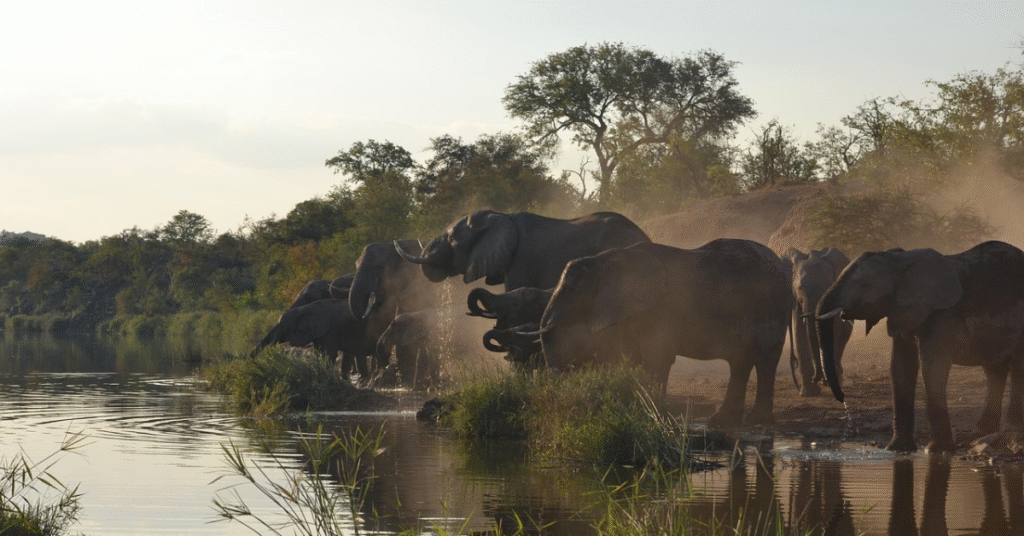Northern Secrets of Kruger