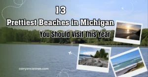 Prettiest Beaches in Michigan