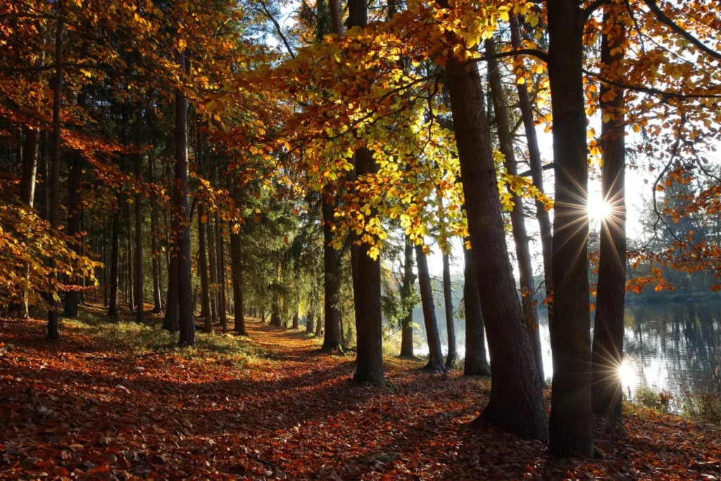 Things to Do in Holland Michigan 
