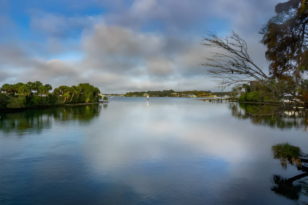 Swimming with Manatees in Florida - Complete Travel Guide