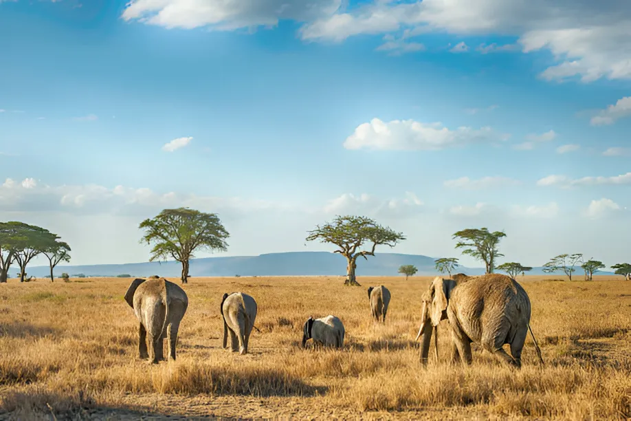 Top 10 Best National Parks in the World to Visit