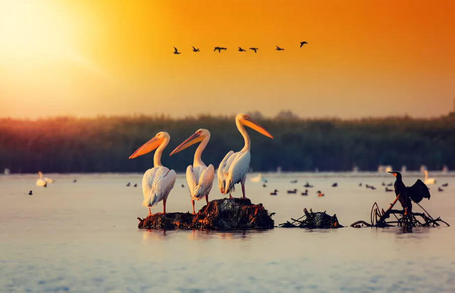 Most Beautiful Places to Visit in Romania