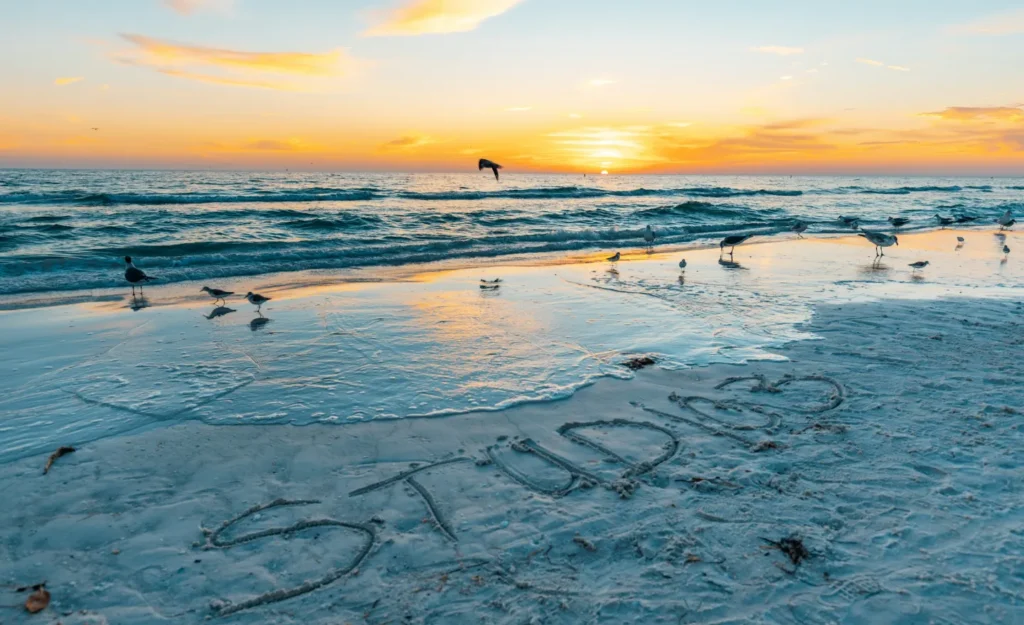 Best Sea Glass Beaches in Florida - You Need to Explore This Year