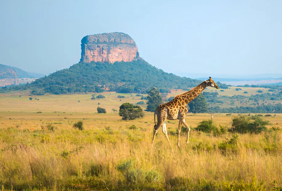 Top 10 Best National Parks in the World to Visit