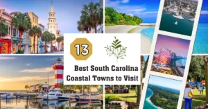 13 Best South Carolina Coastal Towns to Visit