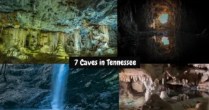 7 Caves in Tennessee That Are Perfect Spots to Cool Down