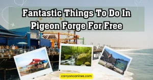Fantastic Things To Do In Pigeon Forge For Free