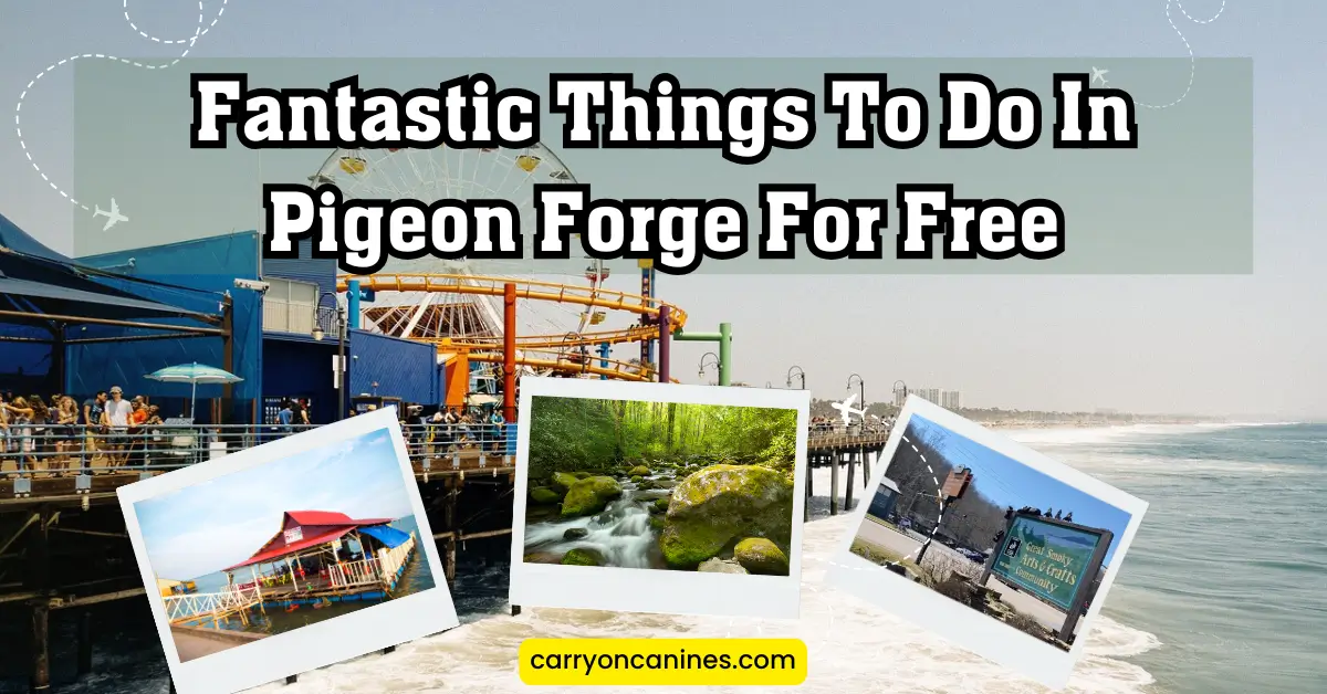 Fantastic Things To Do In Pigeon Forge For Free