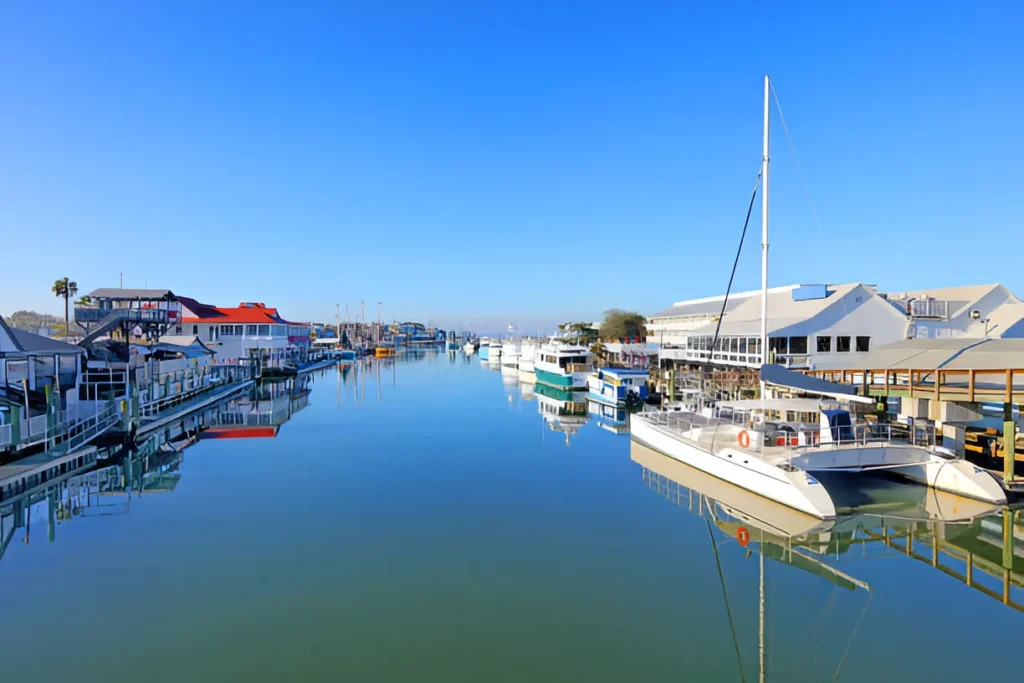 Shem Creek