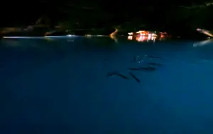The Lost Sea Adventure