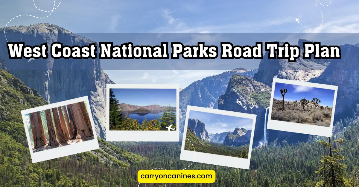 West Coast National Parks Road Trip Plan